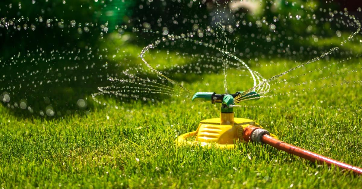 watering of spring green lawn