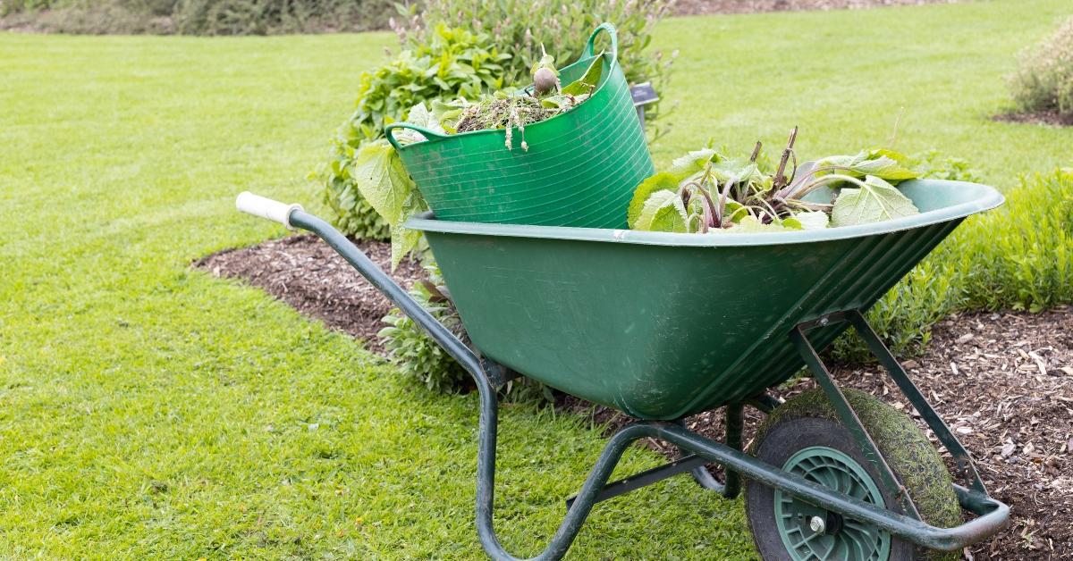 wheelbarrow filled with garden waste 
