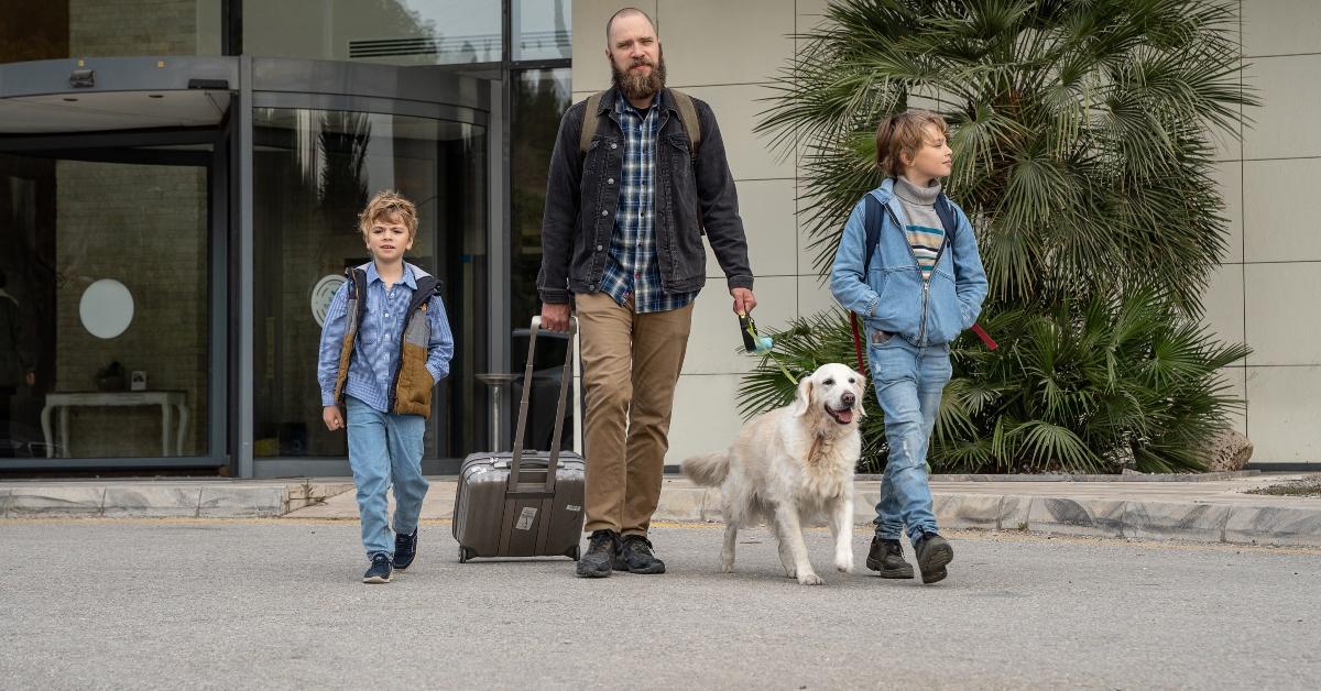 traveling with golden retriever dog