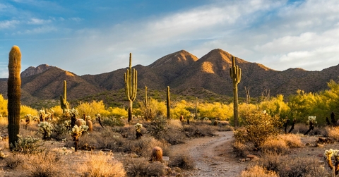 barren desert with cacti and sandy mountain in scottsdale, arizona 