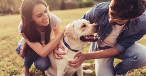 couple with dog in outdoor garden