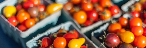 cherry tomatoes in farmers market