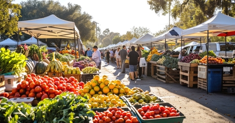 early morning farmers market scene