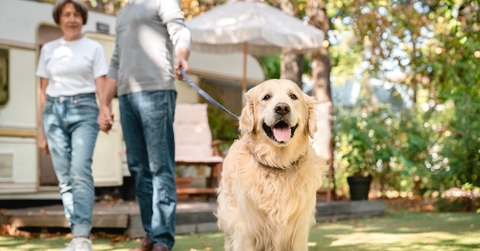 senior couple walking dog outside camper van 