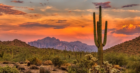 sonoran sunset