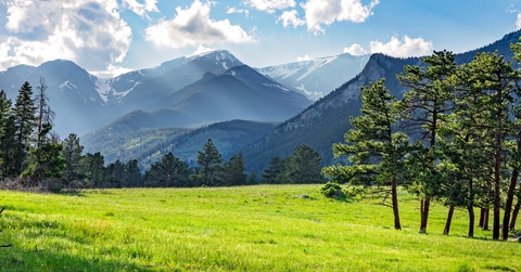meadow in rocky mountain national park