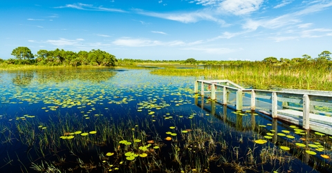florida nature preserve