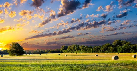 Hay Bales at Sunrise