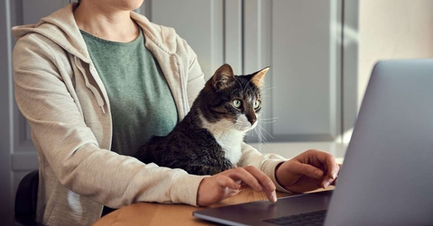 woman sitting with a cat on her lap