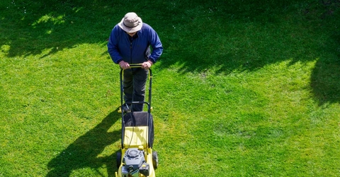 Man tending his garden by cutting the grass