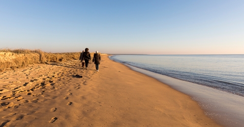People walking on the beach during golden sunset
