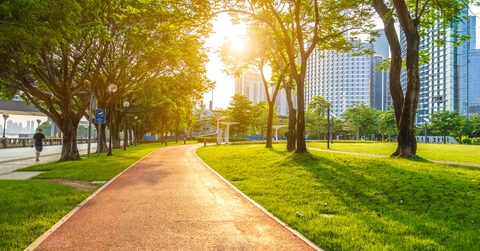park in city of Guangzhou in China