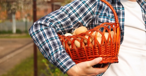 whole basket of brown organic eggs
