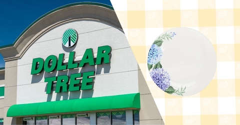 Dollar Tree storefront and dinner plate